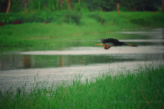 Backwater Exploration